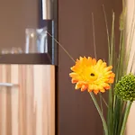 Waldoase Hirschbuechenkopf 3* Güntersberge