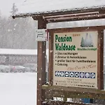 Pensjonat Waldoase Hirschbuechenkopf Güntersberge