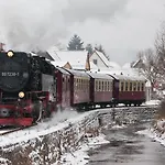 Waldoase Hirschbuechenkopf 3* Güntersberge