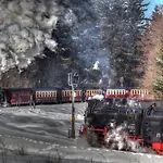 Waldoase Hirschbuechenkopf Güntersberge