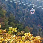 Waldoase Hirschbuechenkopf 3*