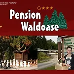 Waldoase Hirschbuechenkopf 3* Güntersberge