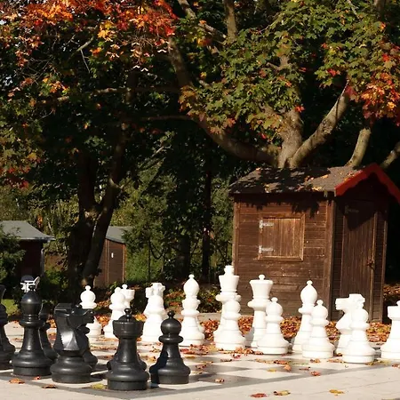 Pensionat Waldoase Hirschbuechenkopf Güntersberge