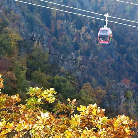 Waldoase Hirschbuechenkopf 3*