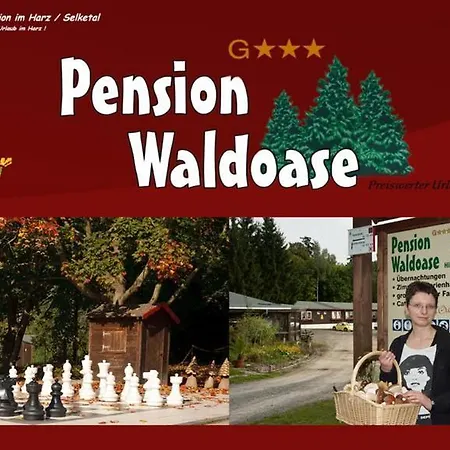 Waldoase Hirschbuechenkopf 3* Güntersberge