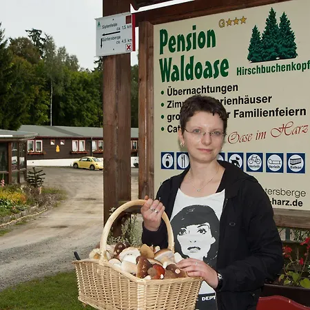 Waldoase Hirschbuechenkopf Affittacamere 3*