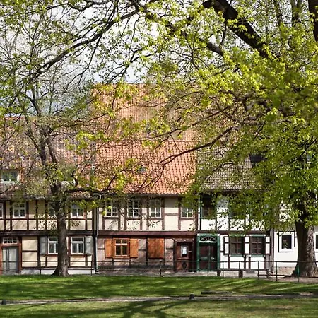 Waldoase Hirschbuechenkopf
