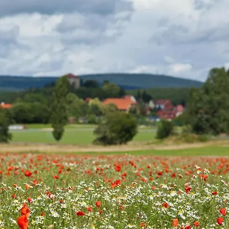 Pensionat Waldoase Hirschbuechenkopf 3*