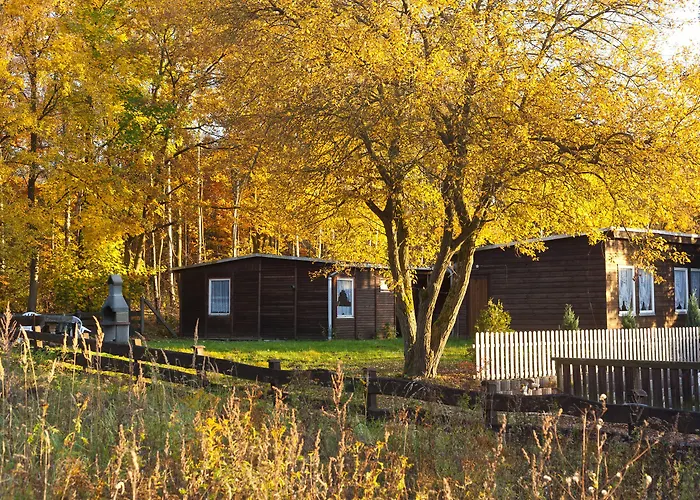 Waldoase Hirschbuechenkopf בית הארחה