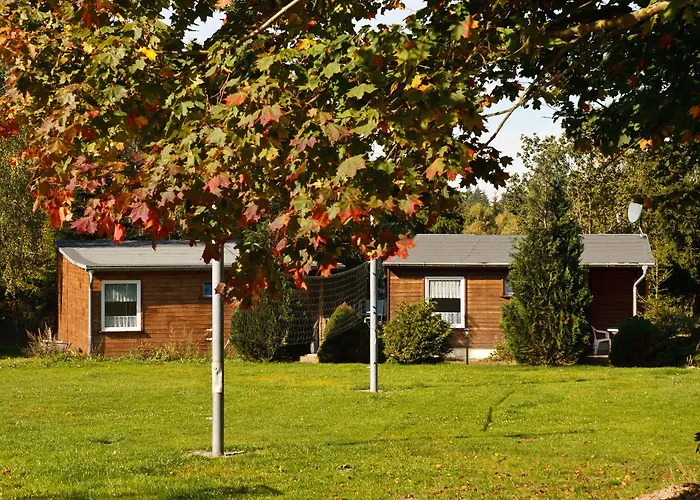 Waldoase Hirschbuechenkopf Güntersberge