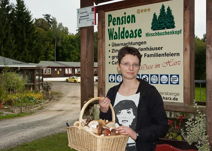 Waldoase Hirschbuechenkopf Pensionat