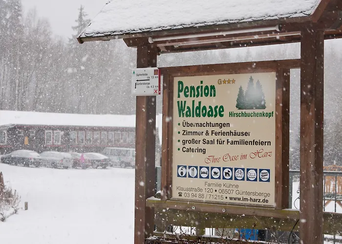 Pensionat Waldoase Hirschbuechenkopf Güntersberge