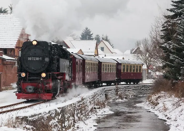 Waldoase Hirschbuechenkopf 3* Güntersberge