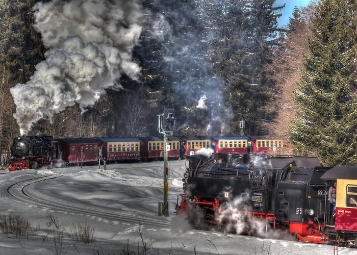 Waldoase Hirschbuechenkopf Güntersberge