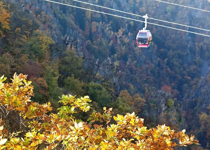 Waldoase Hirschbuechenkopf 3*