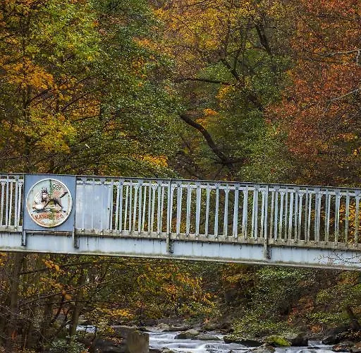 בית הארחה Waldoase Hirschbuechenkopf Güntersberge