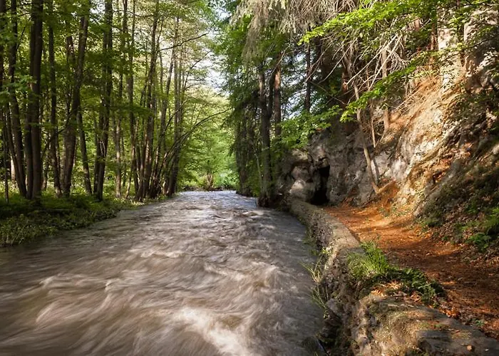 בית הארחה Waldoase Hirschbuechenkopf 3*