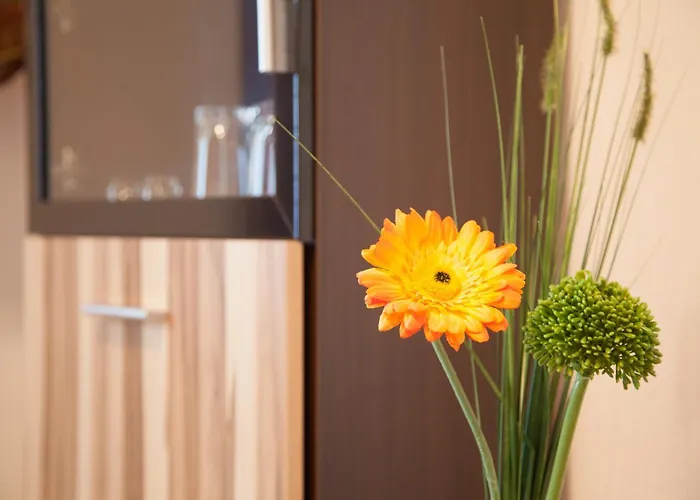 בית הארחה Waldoase Hirschbuechenkopf 3*