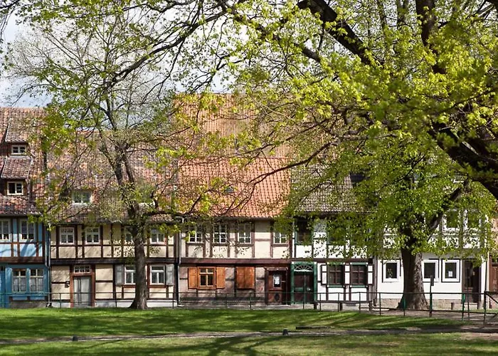 Waldoase Hirschbuechenkopf