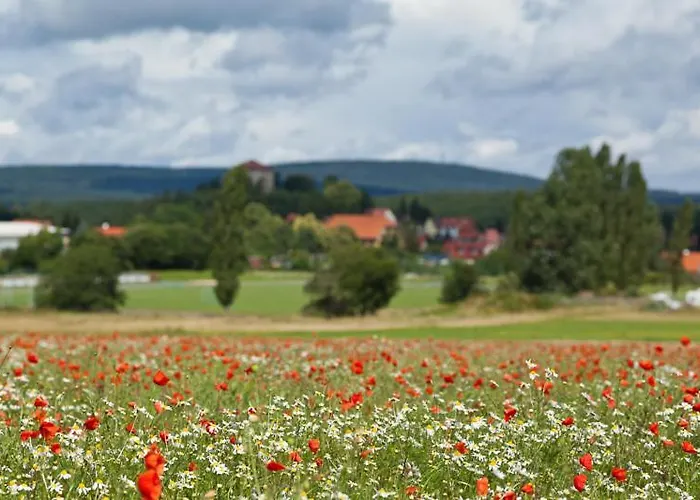 Pensionat Waldoase Hirschbuechenkopf 3*